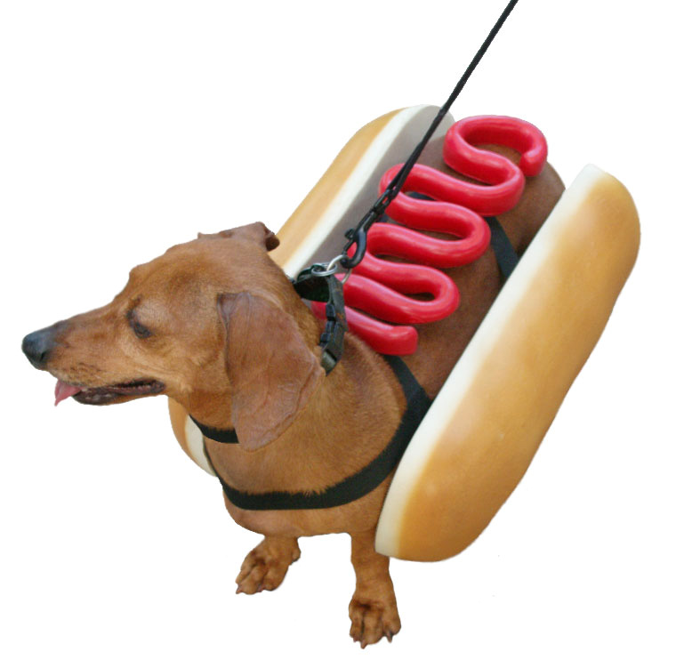 داستان Hot Dog و سگ داغ!
